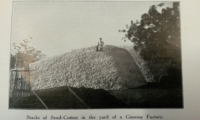 Stacks of seed cotton in southern India, John Rylands Library