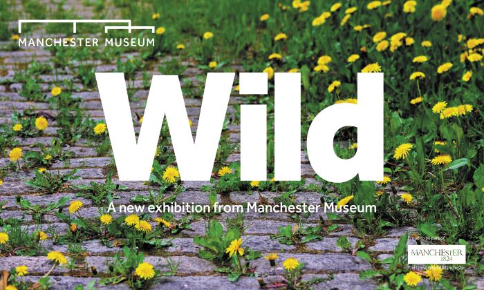 Wild is a new exhibition from Manchester Museum coming in late 2023