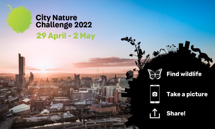 City Nature Challenge
