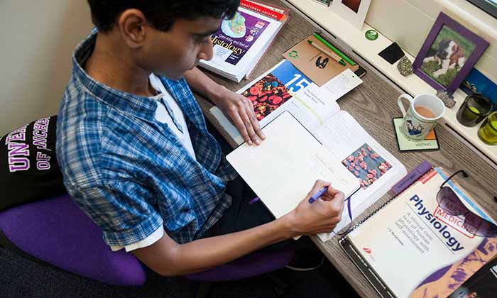 Student revising at desk