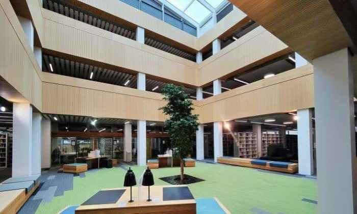 Photo of Norma, a real tree planted at the heart of Lancaster University Library