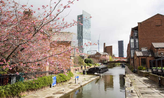 Blossom on the Rochdale Canal