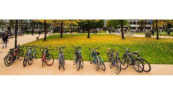 Bikes parked up at the University