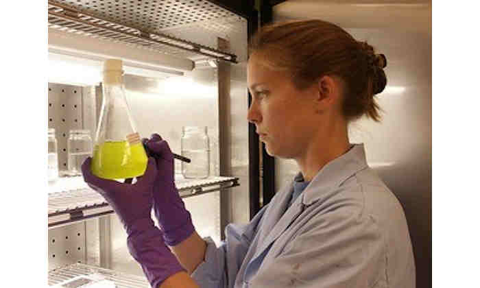 Researcher with flask of yellow liquid