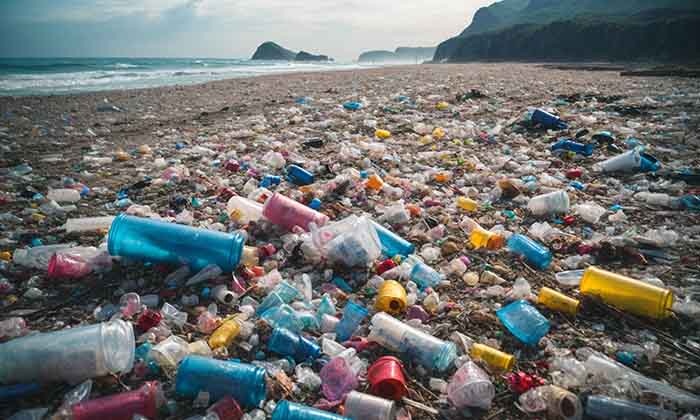 Pollution on beach