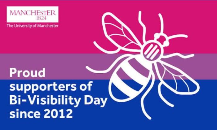 Bi flag with bee and UoM logo