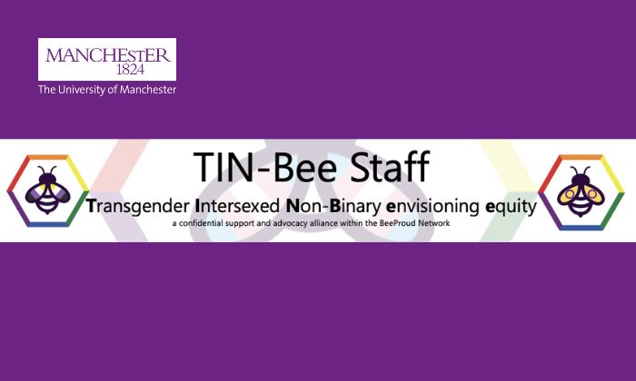 Purple background with TIN-Bee text and two bees