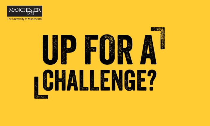 Challenge Accepted? black text against a yellow background