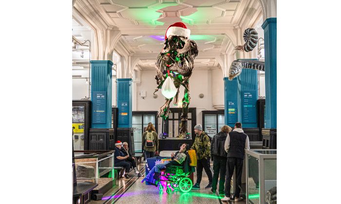 T-Rex in a Santa hat