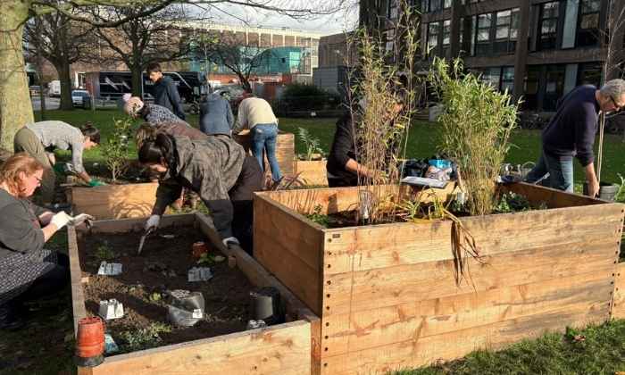 Colleagues taking part in Humanities Garden planting workshop