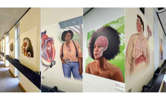 Photos of the art in situ